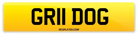 GR11 DOG
