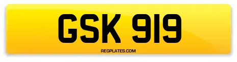 GSK 919