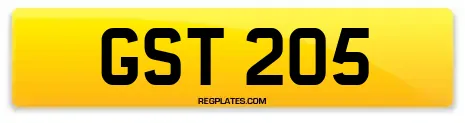 GST 205
