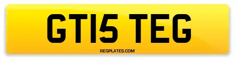 GT15 TEG