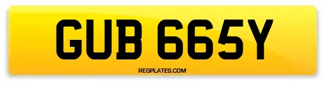 GUB 665Y