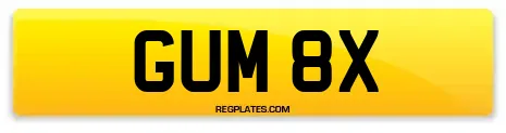 GUM 8X