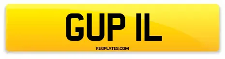 GUP 1L