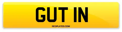 GUT 1N