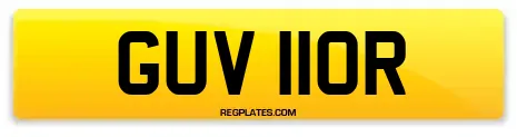 GUV 110R