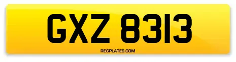 GXZ 8313