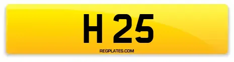 H 25