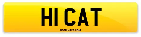 H1 CAT