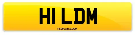 H1 LDM