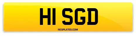 H1 SGD