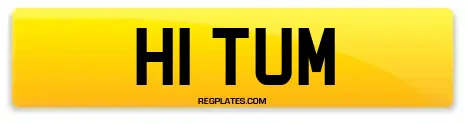 H1 TUM