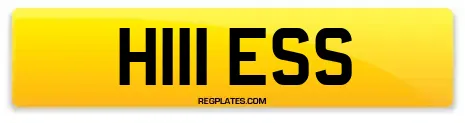 H111 ESS