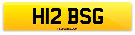 H12 BSG