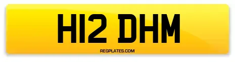 H12 DHM