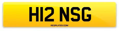 H12 NSG