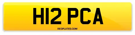 H12 PCA