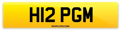 H12 PGM