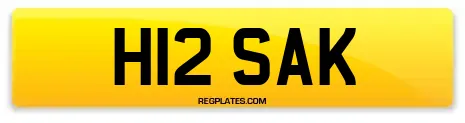 H12 SAK