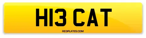 H13 CAT