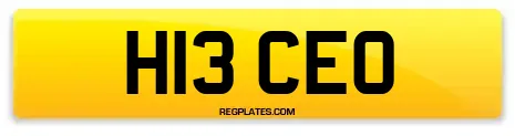 H13 CEO