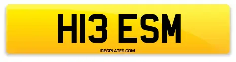 H13 ESM