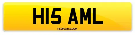 H15 AML