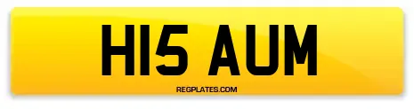 H15 AUM
