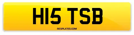 H15 TSB