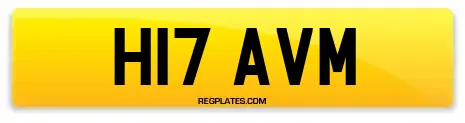 H17 AVM