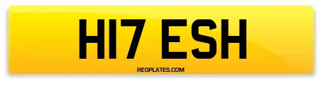H17 ESH