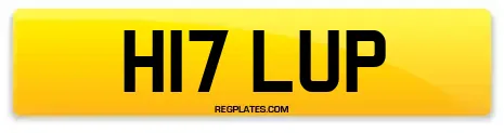 H17 LUP