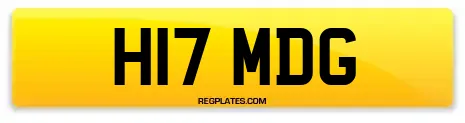 H17 MDG