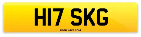 H17 SKG
