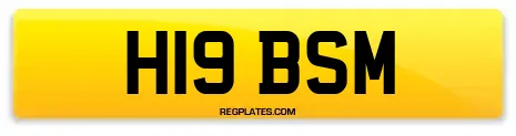 H19 BSM