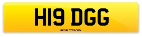 H19 DGG