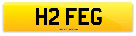 H2 FEG