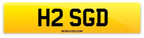 H2 SGD