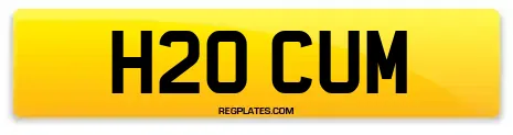 H20 CUM