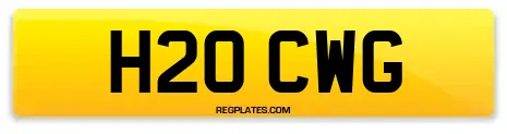 H20 CWG