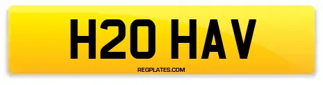 H20 HAV