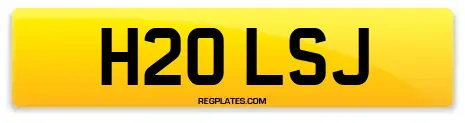 H20 LSJ