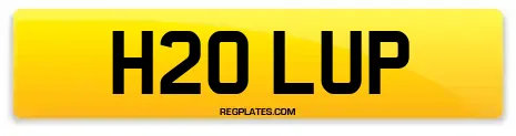 H20 LUP