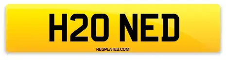 H20 NED