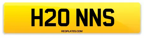 H20 NNS