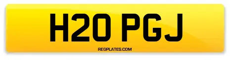 H20 PGJ