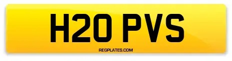 H20 PVS