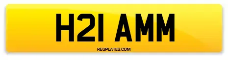 H21 AMM