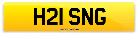 H21 SNG