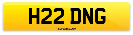 H22 DNG