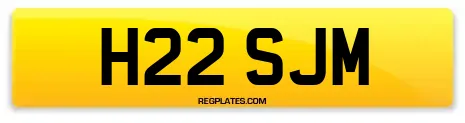 H22 SJM